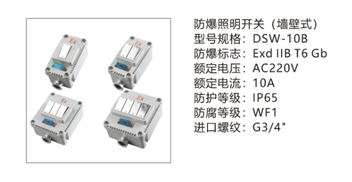 DSW-10B.jpg